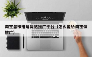 铁岭淘宝怎样搭建网站推广平台（怎么能给淘宝做推广）